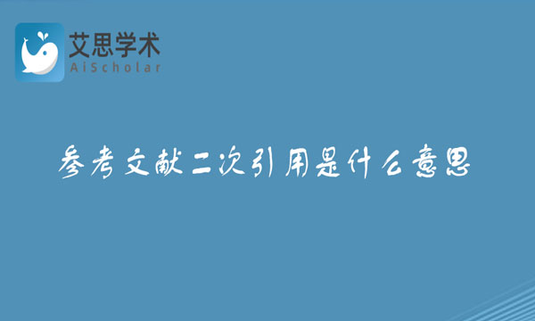 参考文献二次引用