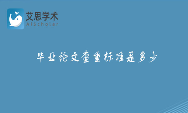 毕业论文查重标准