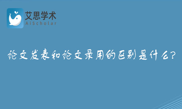 论文发表