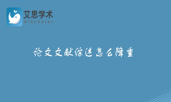 论文文献综述