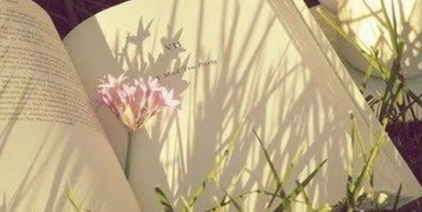 本科毕业论文有哪些几种常见类型？.png