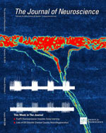 JOURNAL OF NEUROSCIENCE