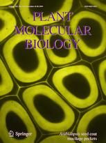 PLANT MOLECULAR BIOLOGY