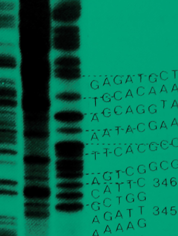Microbial Genomics
